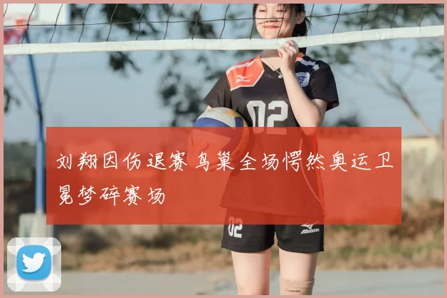 刘翔因伤退赛鸟巢全场愕然奥运卫冕梦碎赛场