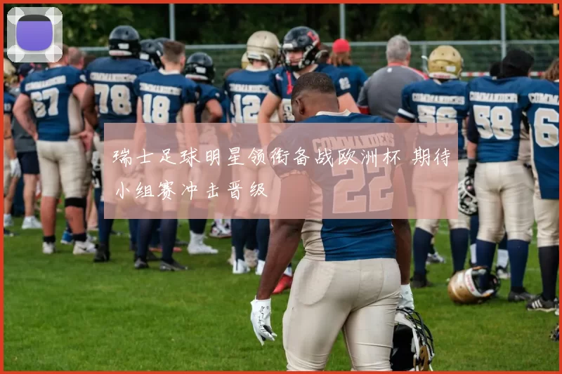 瑞士足球明星领衔备战欧洲杯 期待小组赛冲击晋级