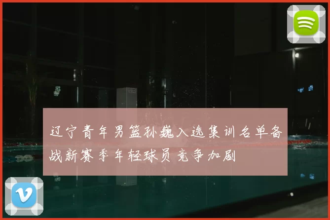 辽宁青年男篮孙巍入选集训名单备战新赛季年轻球员竞争加剧