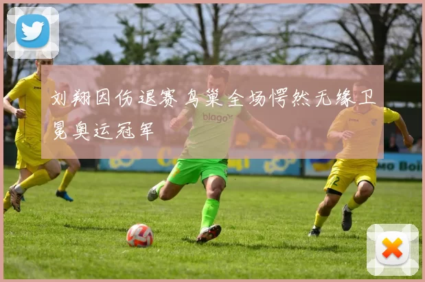 刘翔因伤退赛鸟巢全场愕然无缘卫冕奥运冠军